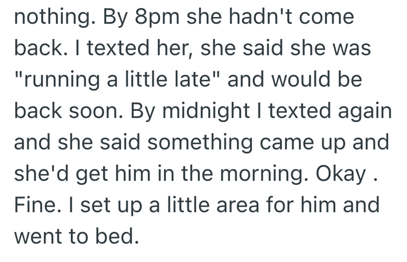 nothing. By 8pm she hadn't come back. I texted her, she said she was "running a little late" and would be back soon. By midnight I texted again and she said something came up and she'd get him in the morning. Okay. Fine. I set up a little area for him and went to bed.