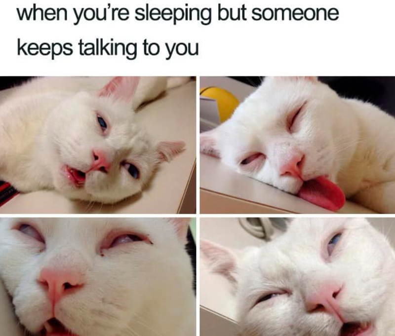 when you're sleeping but someone keeps talking to you
