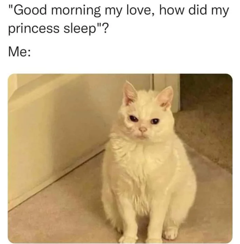 "Good morning my love, how did my princess sleep"? Me:
