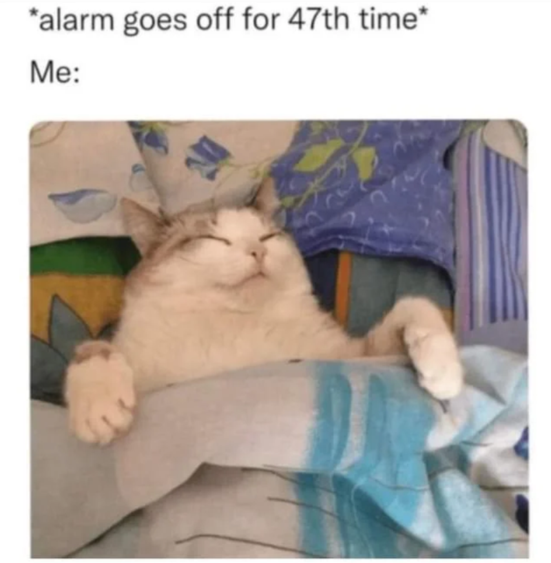 *alarm goes off for 47th time* Me: