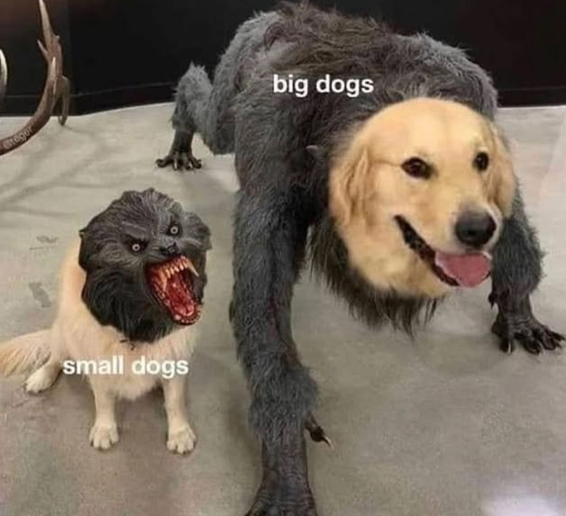 ategor small dogs big dogs