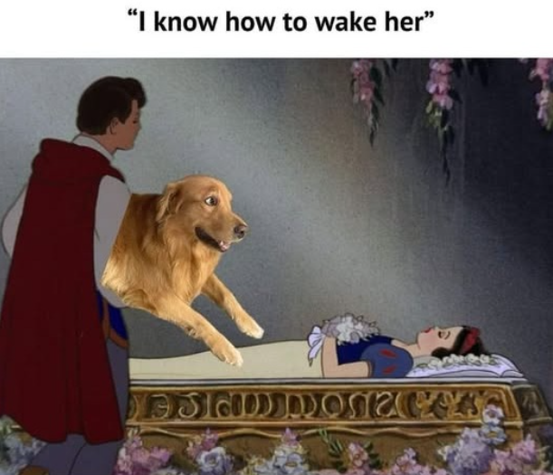 "I know how to wake her"