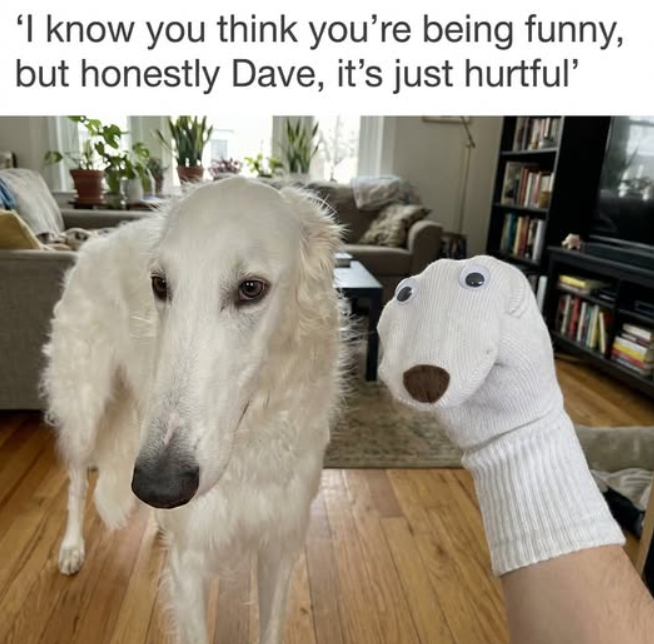 'I know you think you're being funny, but honestly Dave, it's just hurtful'