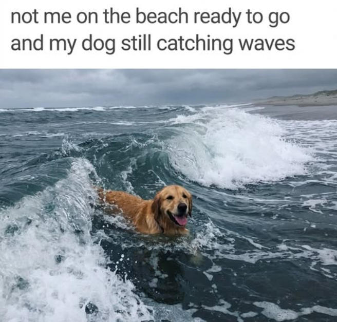 not me on the beach ready to go and my dog still catching waves