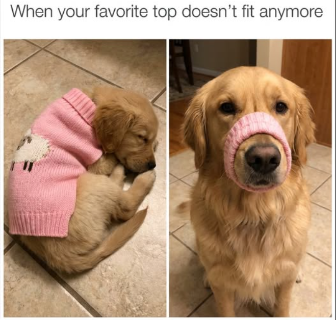 When your favorite top doesn't fit anymore