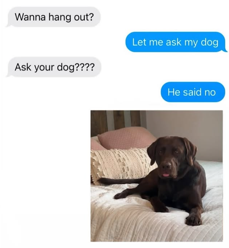 Wanna hang out? Ask your dog???? Let me ask my dog He said no