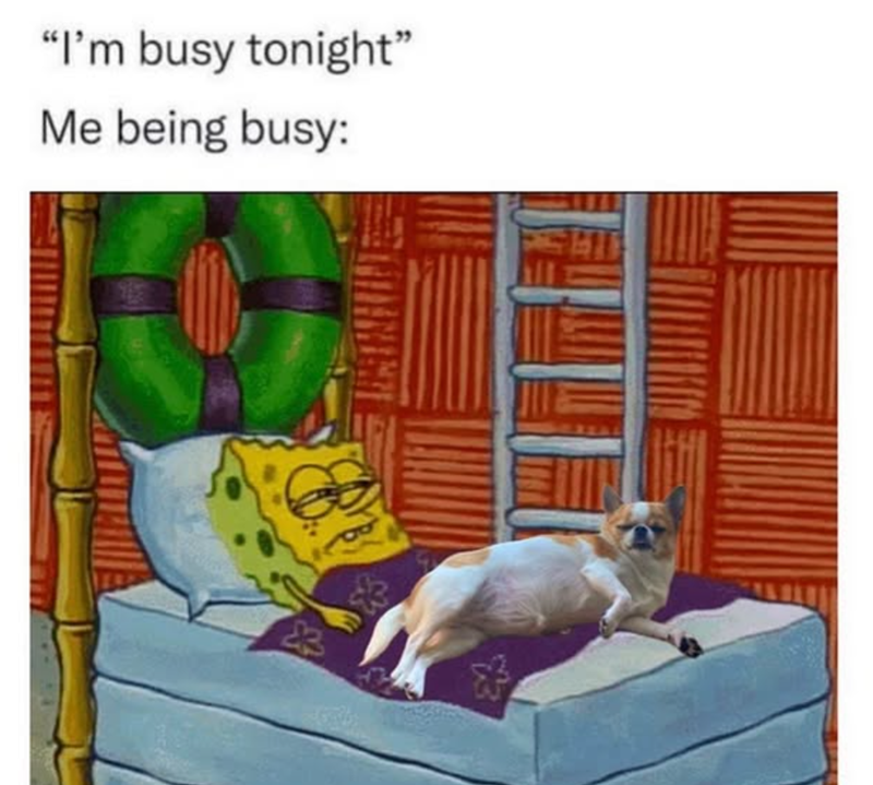 "I'm busy tonight" Me being busy: 23