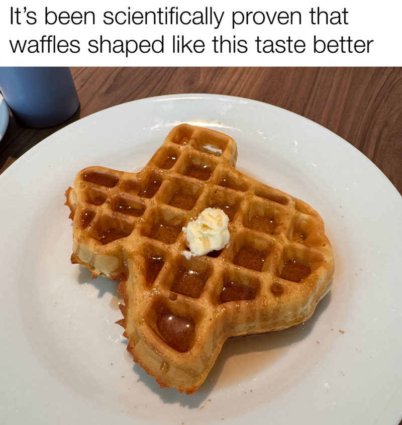 It's been scientifically proven that waffles shaped like this taste better