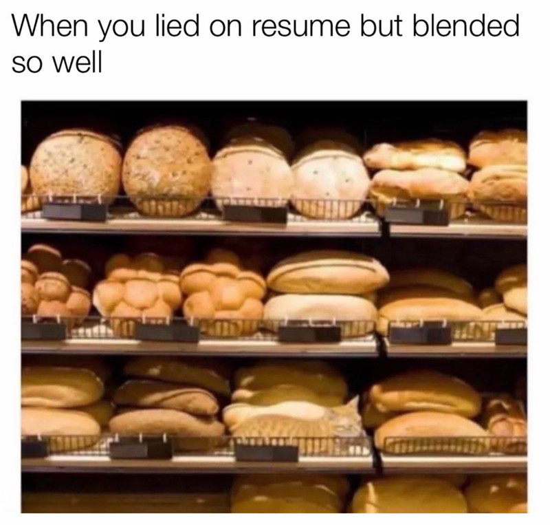 When you lied on resume but blended so well