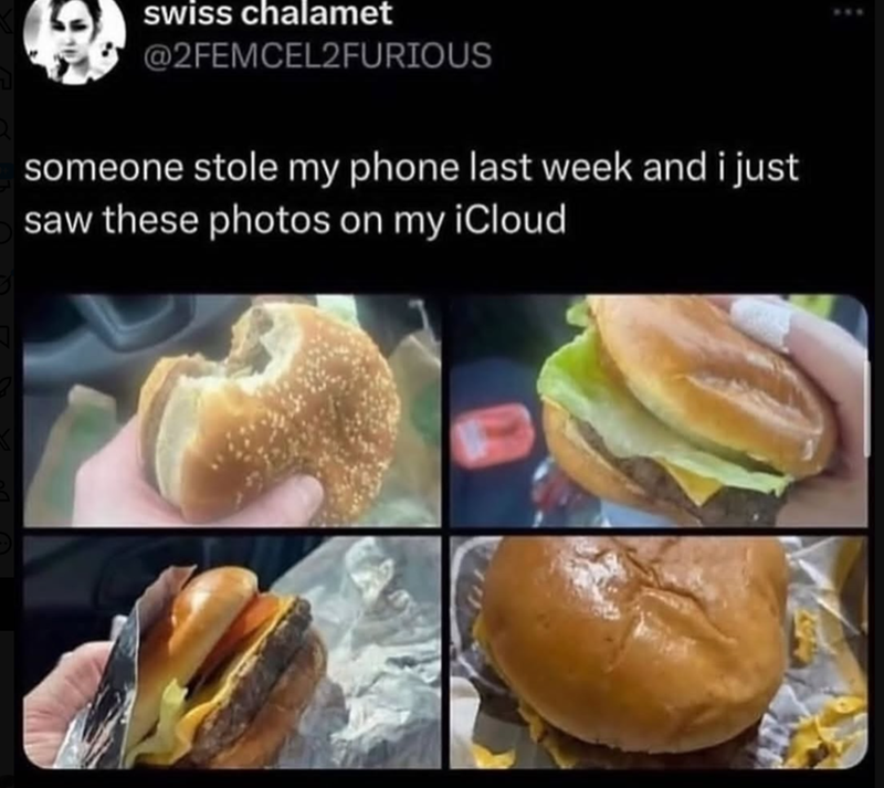 swiss chalamet @2FEMCEL2FURIOUS someone stole my phone last week and i just saw these photos on my iCloud