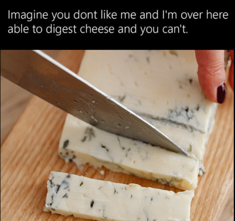 Imagine you dont like me and I'm over here. able to digest cheese and you can't.