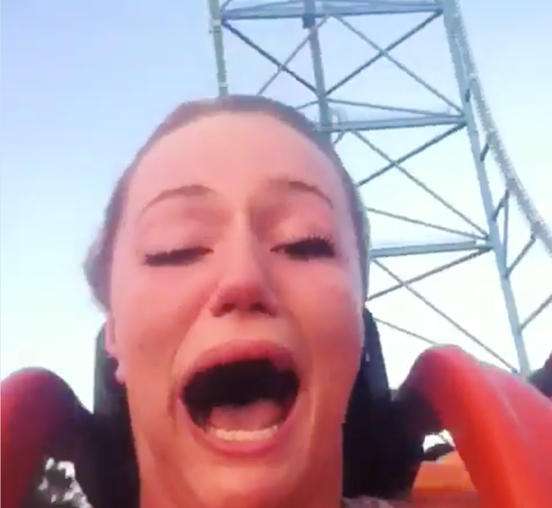 Cheezburger Image 10626294272