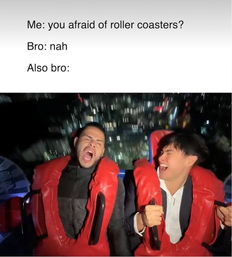 Me: you afraid of roller coasters? Bro: nah Also bro: