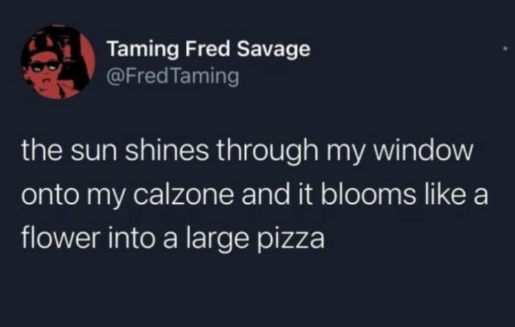 Taming Fred Savage @Fred Taming the sun shines through my window onto my calzone and it blooms like a flower into a large pizza