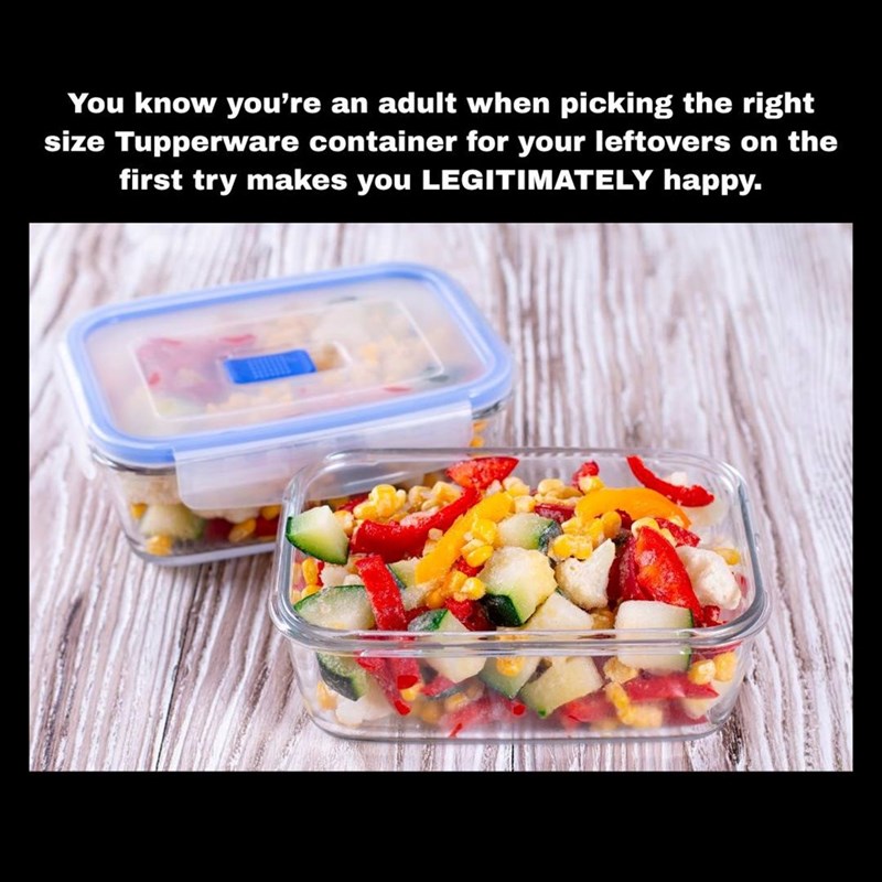You know you're an adult when picking the right size Tupperware container for your leftovers on the first try makes you LEGITIMATELY happy.
