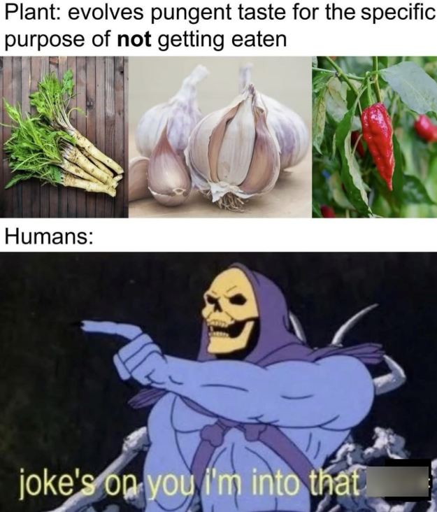Plant: evolves pungent taste for the specific purpose of not getting eaten Humans: joke's on you i'm into that