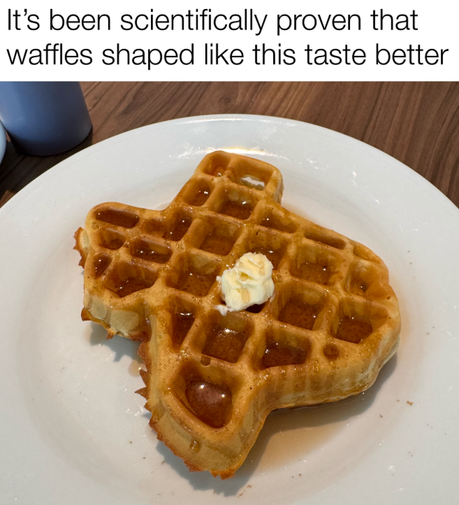 It's been scientifically proven that waffles shaped like this taste better