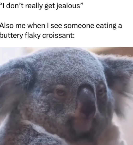 "I don't really get jealous" Also me when I see someone eating buttery flaky croissant: