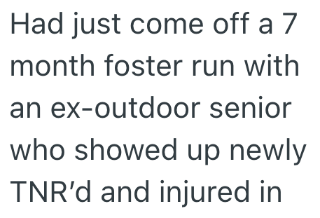 Had just come off a 7 month foster run with an ex-outdoor senior who showed up newly TNR'd and injured in