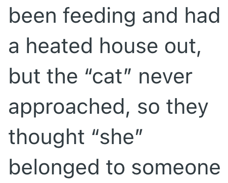 been feeding and had a heated house out, but the "cat" never approached, so they thought "she" belonged to someone