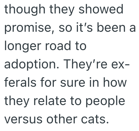 though they showed promise, so it's been a longer road to adoption. They're ex- ferals for sure in how they relate to people versus other cats.