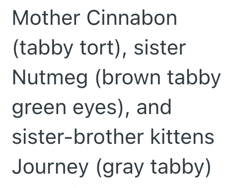 Mother Cinnabon (tabby tort), sister Nutmeg (brown tabby green eyes), and sister-brother kittens Journey (gray tabby)