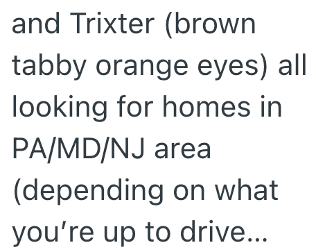 and Trixter (brown tabby orange eyes) all looking for homes in PA/MD/NJ area (depending on what you're up to drive...