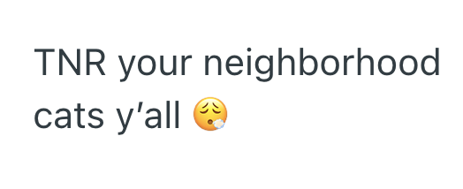 TNR your neighborhood cats y'all →