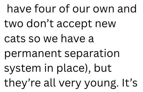 have four of our own and two don't accept new cats so we have a permanent separation system in place), but they're all very young. It's