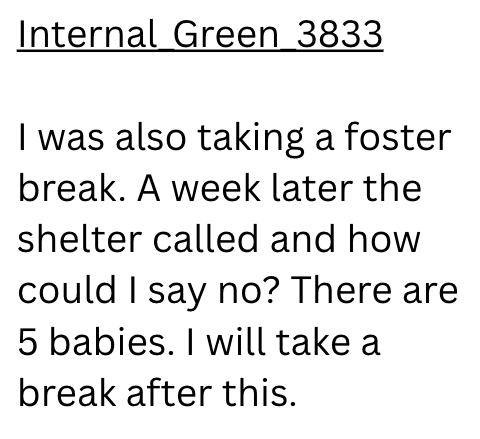 Internal Green 3833 I was also taking a foster break. A week later the shelter called and how could I say no? There are 5 babies. I will take a break after this.
