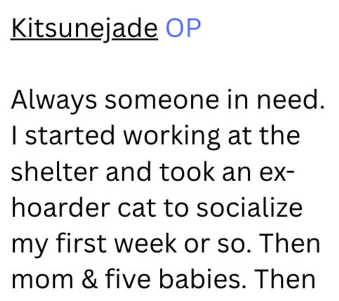 Kitsunejade OP Always someone in need. I started working at the shelter and took an ex- hoarder cat to socialize my first week or so. Then. mom & five babies. Then