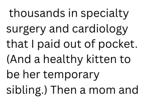 thousands in specialty surgery and cardiology that I paid out of pocket. (And a healthy kitten to be her temporary sibling.) Then a mom and