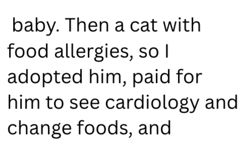 baby. Then a cat with food allergies, so I adopted him, paid for him to see cardiology and change foods, and