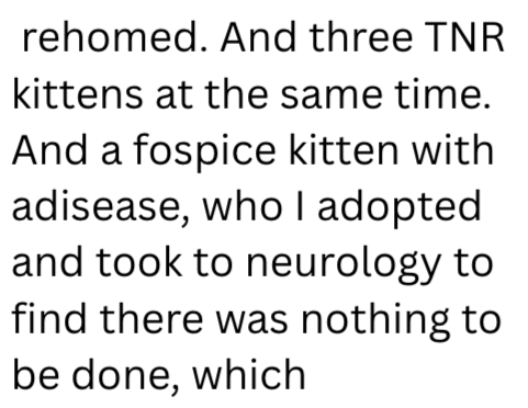 rehomed. And three TNR kittens at the same time. And a fospice kitten with adisease, who I adopted and took to neurology to find there was nothing to be done, which