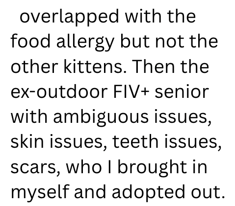 overlapped with the food allergy but not the other kittens. Then the ex-outdoor FIV+ senior with ambiguous issues, skin issues, teeth issues, scars, who I brought in myself and adopted out.
