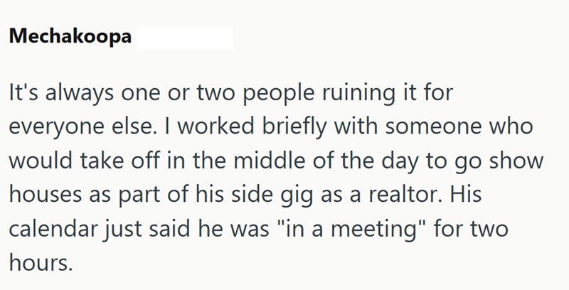 Mechakoopa It's always one or two people ruining it for everyone else. I worked briefly with someone who would take off in the middle of the day to go show houses as part of his side gig as a realtor. His calendar just said he was "in a meeting" for two hours.