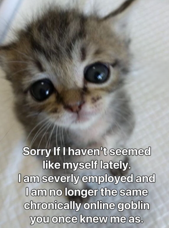 Sorry If I haven't seemed like myself lately. I am severly employed and I am no longer the same chronically online goblin you once knew me as.