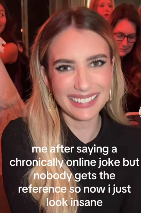 me after saying a chronically online joke but nobody gets the reference so now i just look insane