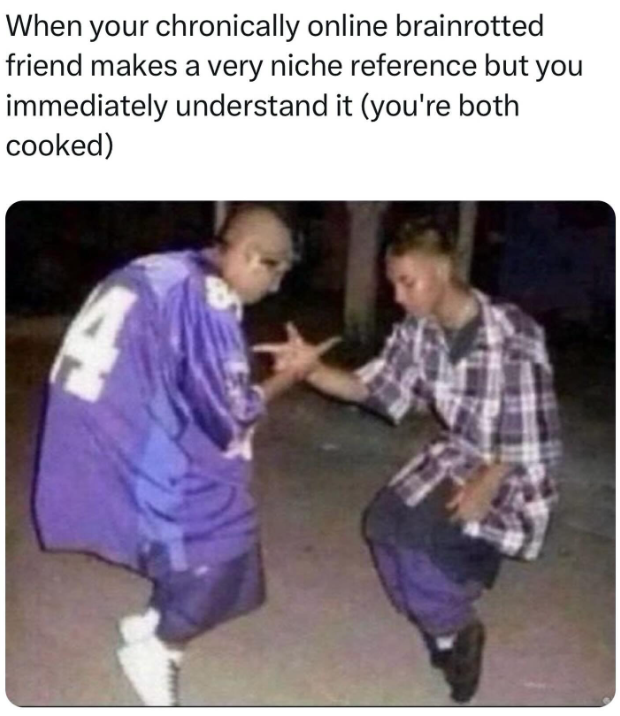 When your chronically online brainrotted friend makes a very niche reference but you immediately understand it (you're both cooked) At