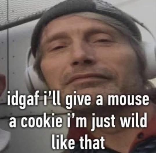 idgaf i'll give a mouse a cookie i'm just wild like that