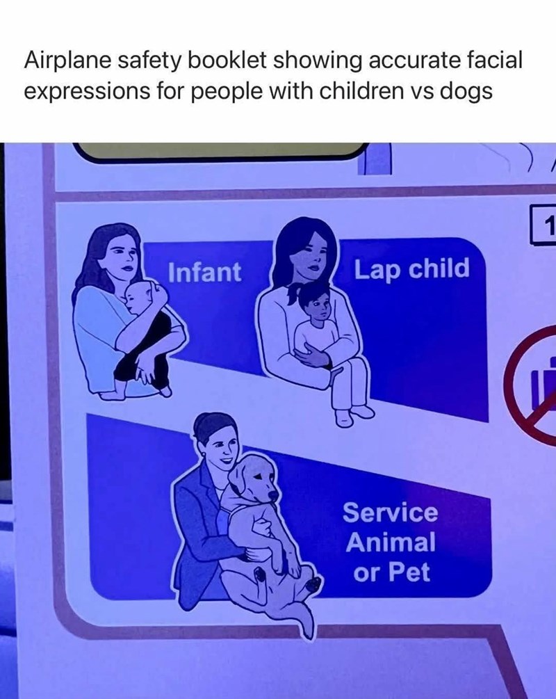 Airplane safety booklet showing accurate facial expressions for people with children vs dogs Infant Lap child Service Animal or Pet 1