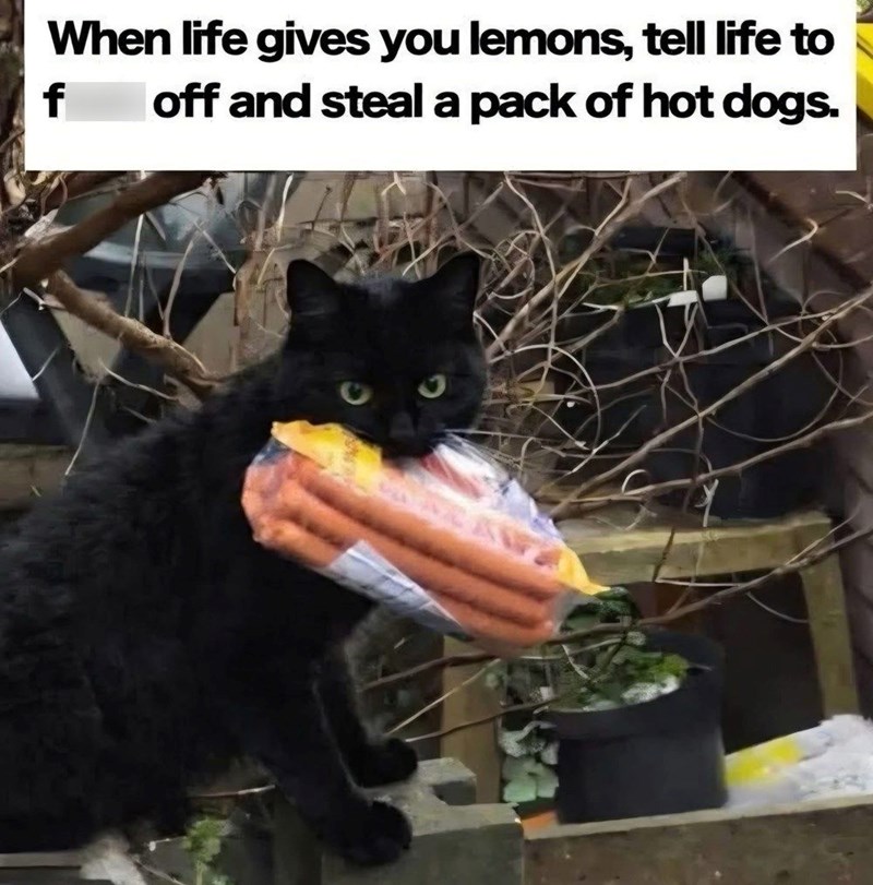 When life gives you lemons, tell life to f off and steal a pack of hot dogs.