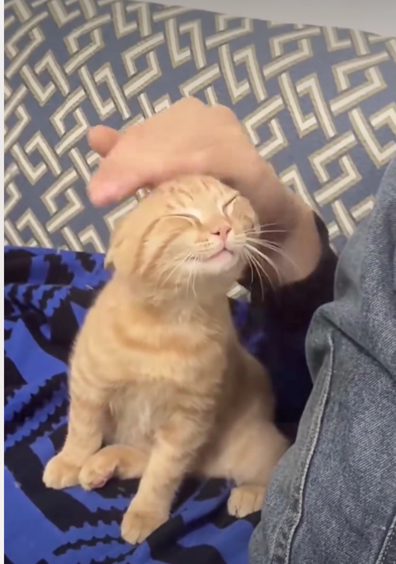 Cheezburger Image 10626417920