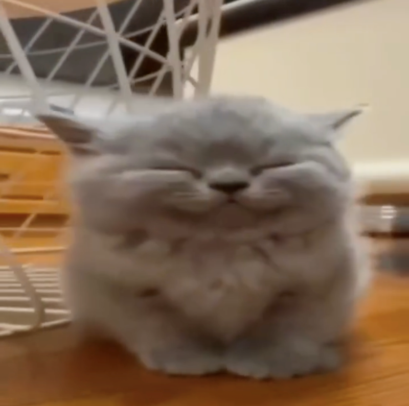 Cheezburger Image 10626419968