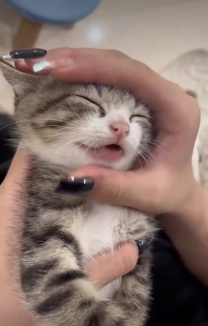 Cheezburger Image 10626422016