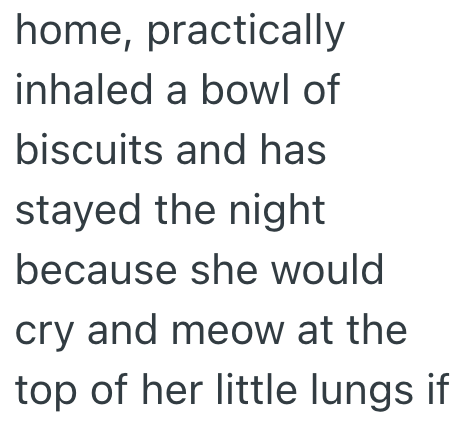 home, practically inhaled a bowl of biscuits and has stayed the night because she would cry and meow at the top of her little lungs if