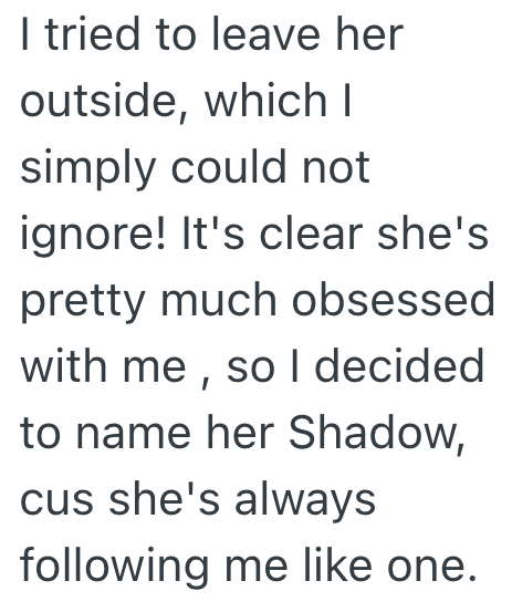 I tried to leave her outside, which I simply could not ignore! It's clear she's pretty much obsessed with me, so I decided to name her Shadow, cus she's always following me like one.
