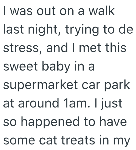 I was out on a walk last night, trying to de stress, and I met this sweet baby in a supermarket car park at around 1am. I just so happened to have some cat treats in my