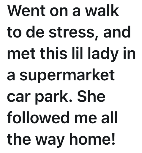 Went on a walk to de stress, and met this lil lady in a supermarket car park. She followed me all the way home!