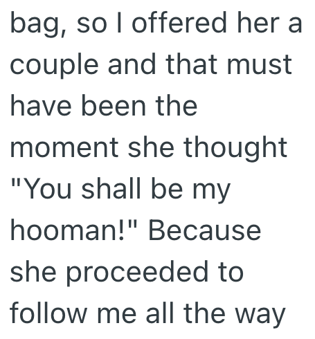 bag, so I offered her a couple and that must have been the moment she thought "You shall be my hooman!" Because she proceeded to follow me all the way